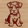 Furry Friend Portrait A small, fluffy dog breed with a distinctive beard, sitting on its haunches.