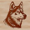 A portrait of a husky dog with a fluffy head.