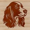 Beautiful Cocker Spaniel Headshot A high-quality vector illustration of a friendly cocker spaniel dog breed.