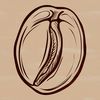 A simple illustration of a coffee bean in vector format.