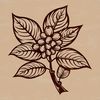 Minimalist Coffee Bean Design Vector Graphics A single coffee bean rendered in a minimalist vector design style.