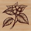 Vector Coffee Design A detailed illustration of a coffee bean in vector format, suitable for various design applications.