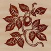 A stylized illustration of a coffee bean plant with beans growing on it.