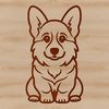 A small-sized dog breed, the corgi, is sitting on its hind legs.