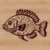 A illustration of a freshwater fish with distinctive markings and shape, commonly found in North American lakes and rivers.