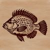 Crappie Fish Illustration in Profile A detailed illustration of a Crappie fish in profile, suitable for graphic design projects.
