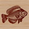 Colorful Crappie Design A detailed illustration of a Crappie fish in various colors.
