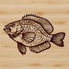 Crappie Silhouette Vector Graphic Illustration of a wild Crappie fish.