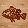 Whimsical Freshwater Fish Illustration A detailed illustration of a freshwater fish species known as the Crappie, suitable for vector graphics and digital design.