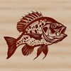 A digital illustration of a crappie fish in a neutral background.