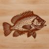 Decorative Crappie SVG Design A detailed illustration of a crappie fish, a popular game fish found in freshwater environments.