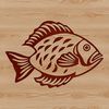A close-up view of a Crappie fish, ideal for digital art projects and commercial use.