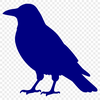 A silhouette illustration of a crow in detail, suitable for commercial use.