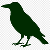 Vector illustration of a Crow bird in silhouette, suitable for commercial or personal use.