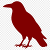 A digital illustration of a crow, a common black bird species.