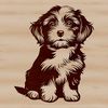 A small breed dog sitting on its hind legs, with a fluffy coat and a sweet expression.
