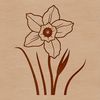 Elegant Easter Bloom Clip Art A single white and yellow daffodil flower against a transparent background.