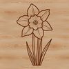 Fresh Cut Daffodil Illustration A bright yellow daffodil flower with trumpet-shaped petals, against a white background.