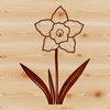 Free Daffodil Vector Graphics A digital illustration of a daffodil plant with its trumpet-shaped bloom.