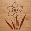 Free Vector Flower Image Illustrated daffodil flower in a simple, vector design.