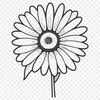 Delicate Daisy Design Vector Art A simple daisy flower design in vector format.