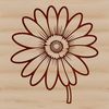 Simple Daisies in Curved Lines A simple vector design of a daisy featuring multiple curved lines and circular shapes.