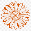Beautiful White Daisy Floral Illustration Close-up illustration of a white daisy flower with yellow center, created as vector art.