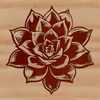 A realistic illustration of a succulent plant, suitable for gardening and floral designs.