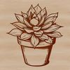 A stylized illustration of a succulent plant, suitable for vector graphics design.