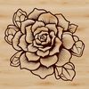 Desert Blooms: A Close-up Illustration A close-up illustration of a desert succulent plant with thick fleshy leaves and stems.