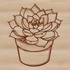 An ornamental succulent design suitable for gardening projects and craft use.