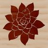 Desert Blooms Succulent Illustration A succulent plant with thick fleshy leaves, commonly found in desert environments.