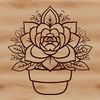 A stylized illustration of a succulent plant with intricate details and ornate patterns.