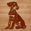A sitting Doberman Pinscher dog breed illustration in vector format.
