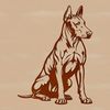 Doberman Pinscher Illustration in a Sitting Position A breed-specific illustration of a Doberman Pinscher in a sitting position.