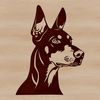 Doberman Breed Portrait Illustration A detailed vector illustration of a Doberman Pinscher's head, suitable for digital designs.