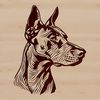 Doberman Close-Up Portrait A vector graphic image featuring a close-up portrait of a Doberman Pinscher.