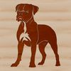 A detailed illustration of a standing Boxer dog breed.
