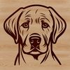 A detailed illustration of a happy Labrador Retriever's head.