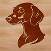 Dachshund Face Illustration in Bold Lines A detailed illustration of a Dachshund's head with bold lines and minimal shading.
