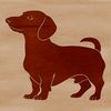 Stylized Dachshund Graphic Design A stylized illustration of a standing dachshund dog in a vector format.