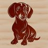 A sitting dachshund dog breed illustration in vector format.