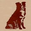 Free Vector Graphic Dog A high-resolution vector graphic of an Australian Shepherd in a seated position.