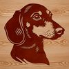 An isolated vector image of a Dachshund's head.