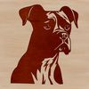 Boxer Breed Profile A head-on view of a Boxer dog with a distinctive face.