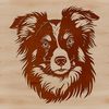 Portrait Vector Art of a Beautiful Aussie Dog Vector art design featuring a portrait of a mature Australian Shepherd dog.