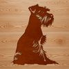 Cute Canine Companion in Stylized Format A small breed dog, the miniature schnauzer sitting in a stylized format suitable for digital editing.