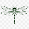 Illustrative dragonfly vector art design for graphic projects.