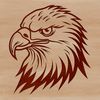 A detailed illustration of a bird's head with feathers, beak, and talons.