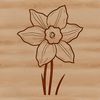 Vibrant Daffodil Blooms Against a Green Stem A single white daffodil flower with bright yellow trumpet-shaped center against a green stem.